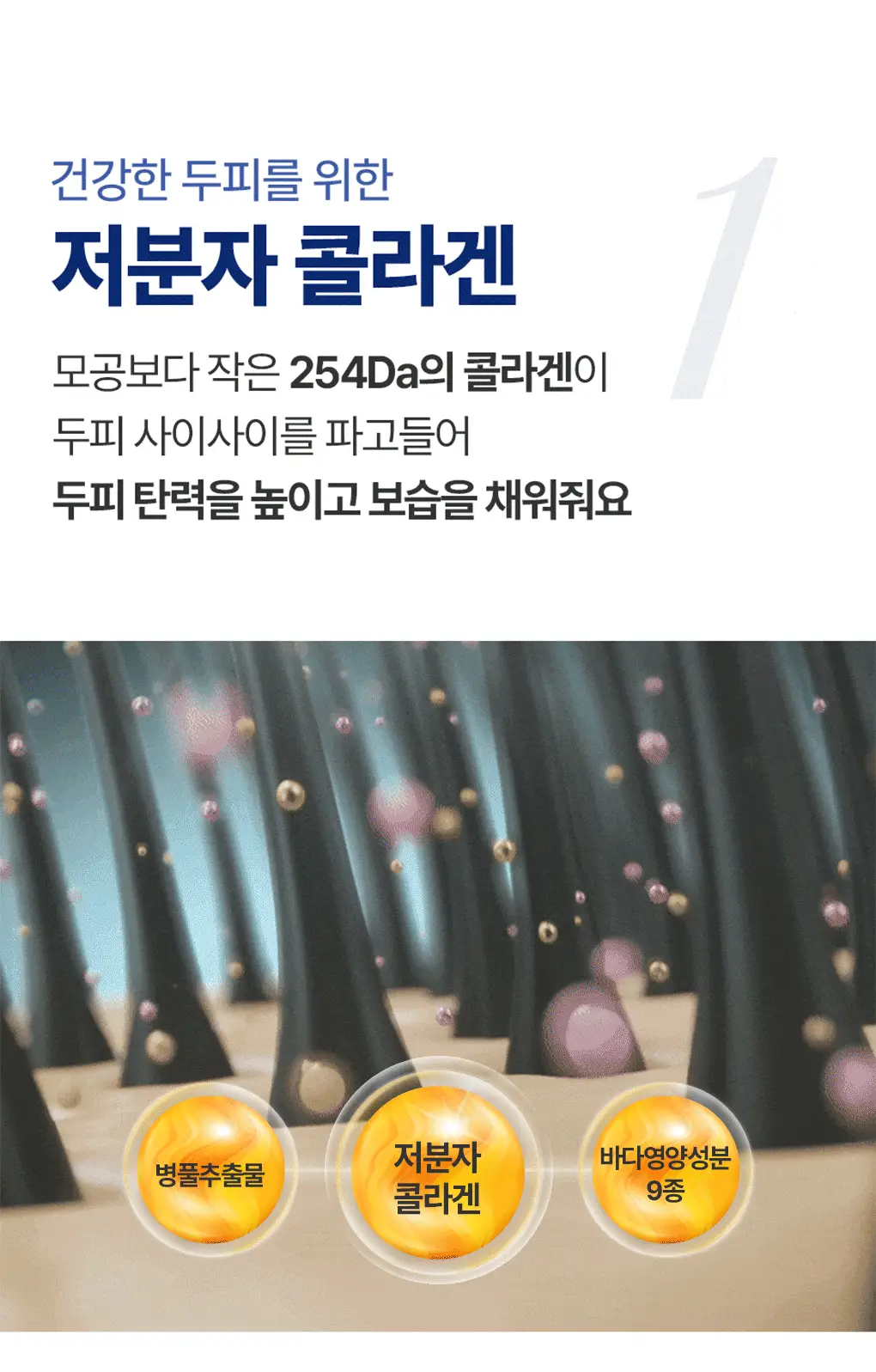 [백호PICK]트리셀 데이/나이트 콜라겐 샴푸 증정 기획 (360ml+120ml) 택 1 상세페이지 10